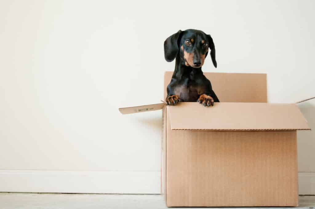 Moving Office